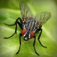 /album/programas-t-v/photolia-a01-jpg/