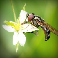 /album/programas-t-v/photolia-a02-jpg/