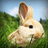 /album/programas-t-v/photolia-a03-jpg/