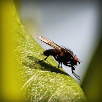 /album/programas-t-v/photolia-a04-jpg/