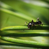 /album/programas-t-v/photolia-a05-jpg/