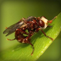 /album/programas-t-v/photolia-a06-jpg/