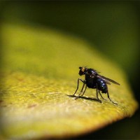 /album/programas-t-v/photolia-a07-jpg/