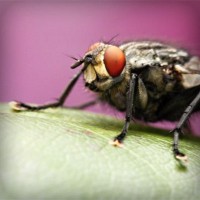 /album/programas-t-v/photolia-a08-jpg/