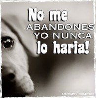 /album/fotogaleria-reflexiones/a302-jpg1/