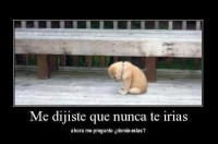 /album/fotogaleria-reflexiones/a522140-10151012212738497-1158600264-n-jpg1/