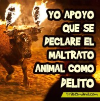 /album/fotogaleria-reflexiones/a831337763464-imagenes-con-frases-de-maltrato-animal-jpg1/
