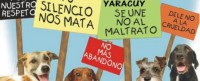 /album/fotogaleria-reflexiones/cabeceramarchanacionalanimal-620x250-jpg1/