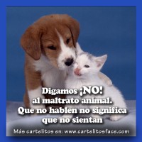 /album/fotogaleria-reflexiones/digamos-no-al-maltrato-animal-jpg1/